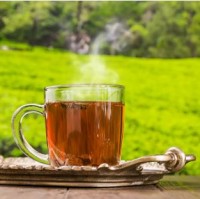 Darjeeling Tea