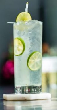 Fresh Lime Soda