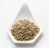 Badishep Vighnahar 100 Gm